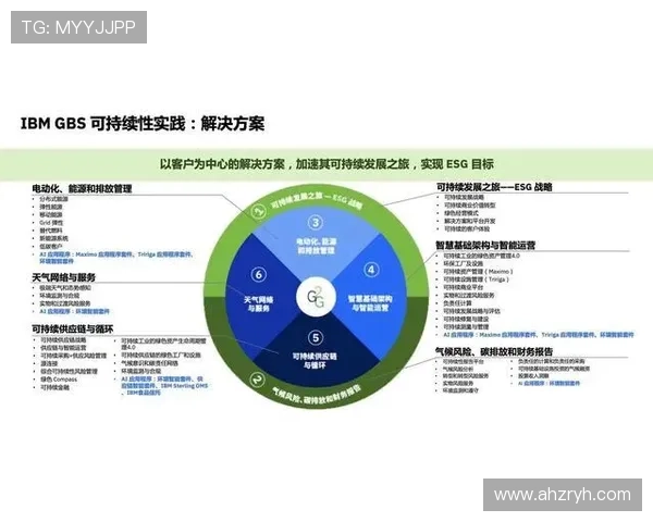 新时代背景下企业家创新思维与可持续发展战略探析